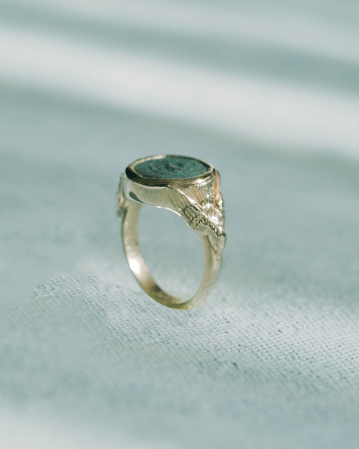 Are Not Two Sparrows? | Coin Signet Ring | Limited Edition