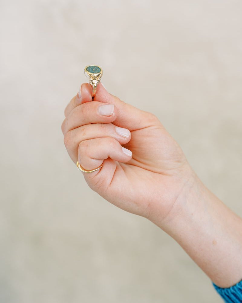 Are Not Two Sparrows? | Coin Signet Ring | Limited Edition