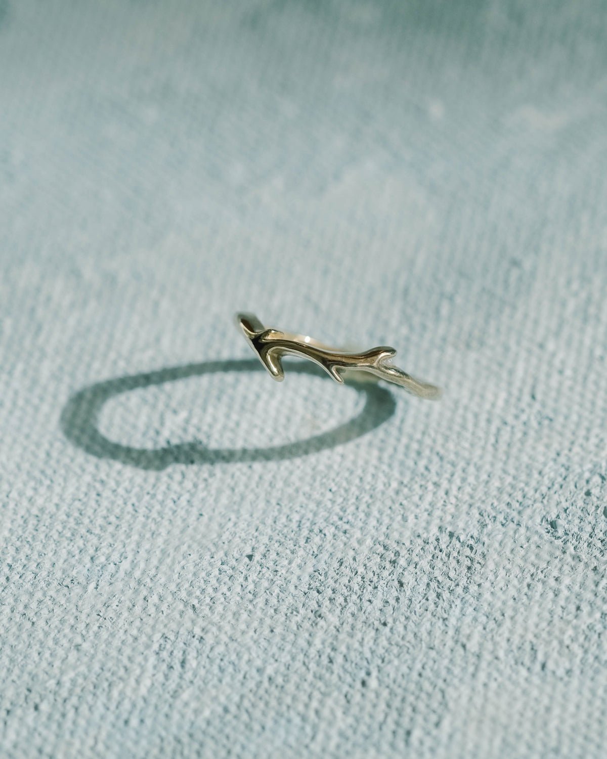 Abide Ring