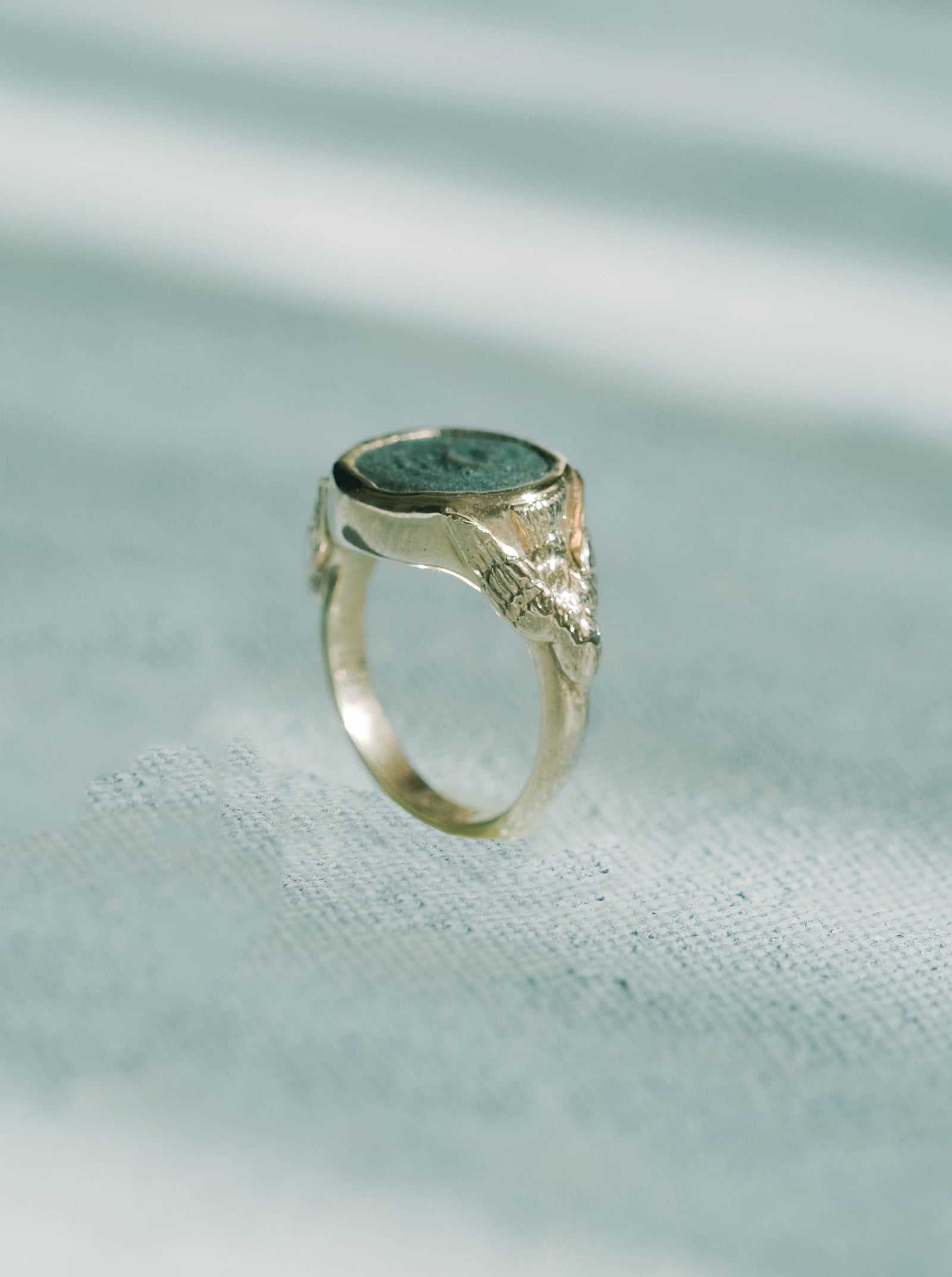 Are Not Two Sparrows? | Coin Signet Ring | Limited Edition