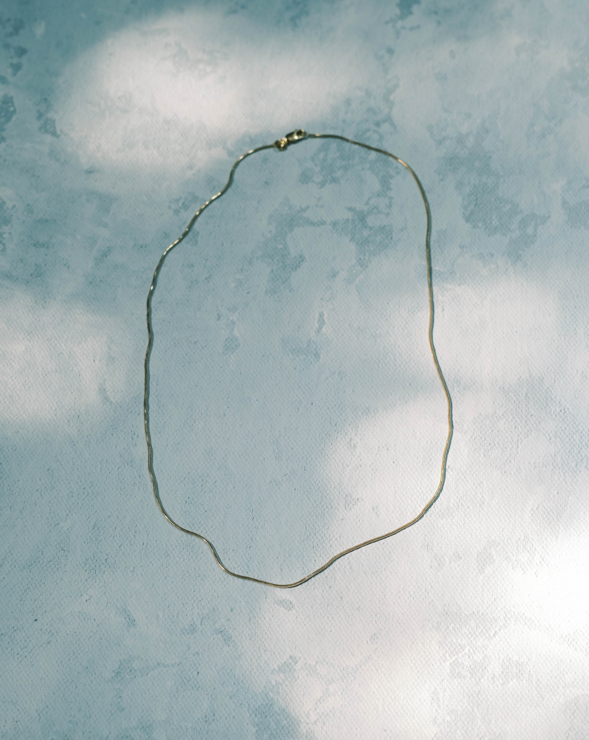 Snake Chain